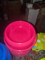 Dog Bowl