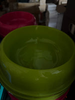 Dog Bowl