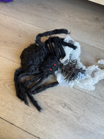 Halloween Spider Decoration