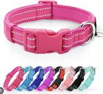 Dog collar